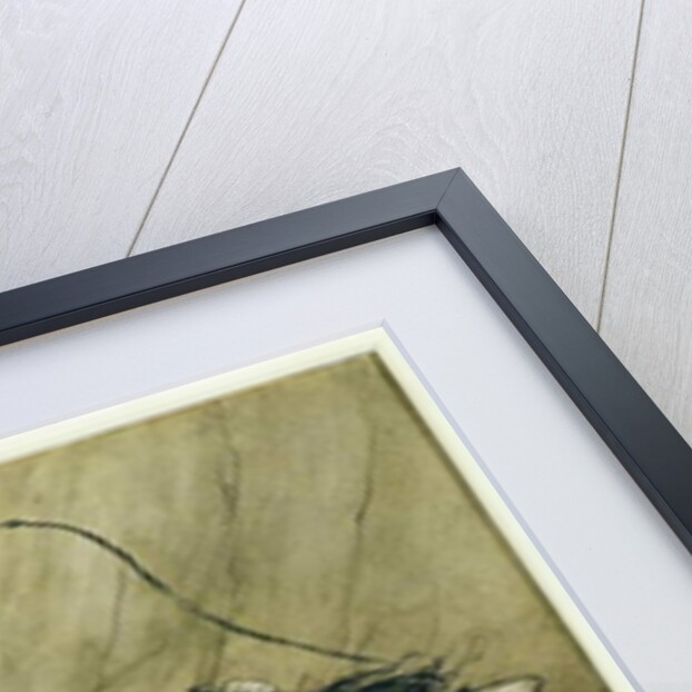 Alberich drives in a band of Nibelungs laden with gold and silver treasure by Arthur Rackham