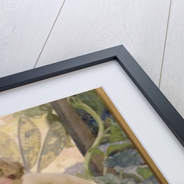 The Fairy and the Beetle, 1922 by Arthur Herbert Buckland