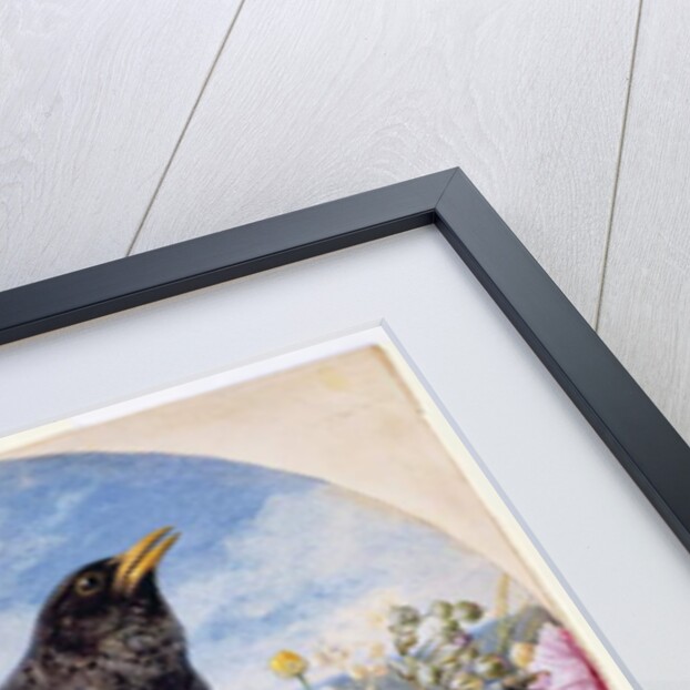 Blackbird, 1864 by Harrison William Weir