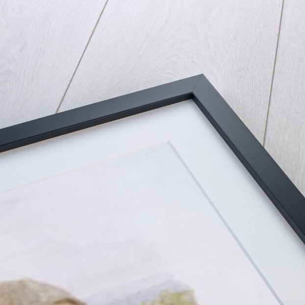 Young Girl by the Cottage Gate by Helen Allingham