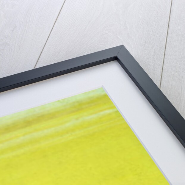 CBL In 11B.30 A Lady Prepares a Meal, miniature from a Bhagavata Purana series, Kangra, c.1810 by Indian School