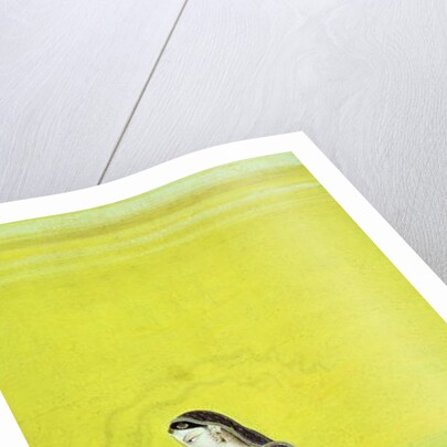 CBL In 11B.30 A Lady Prepares a Meal, miniature from a Bhagavata Purana series, Kangra, c.1810 by Indian School