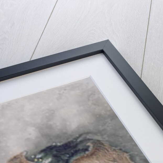 CBC 1839 A winged dragon, from an album of 12 depicting animals and birds, Chinese by Jiao Bingzhen