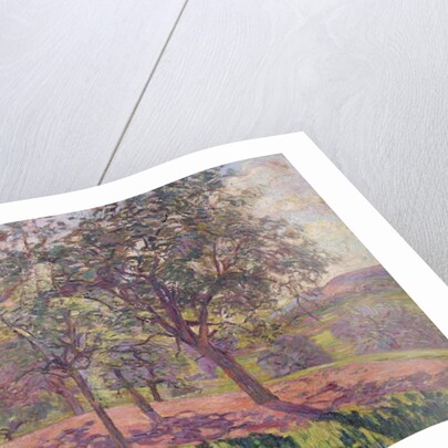 The Region of Saint Cheron, Springtime, c.1886 by Jean Baptiste Armand Guillaumin