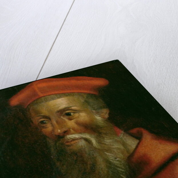 Portrait of Cardinal Reginald Pole Archbishop of Canterbury by English School