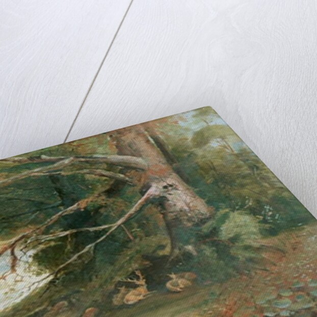 Deer in a Woodland Glade by Unknown Artist