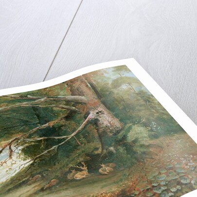 Deer in a Woodland Glade by Unknown Artist