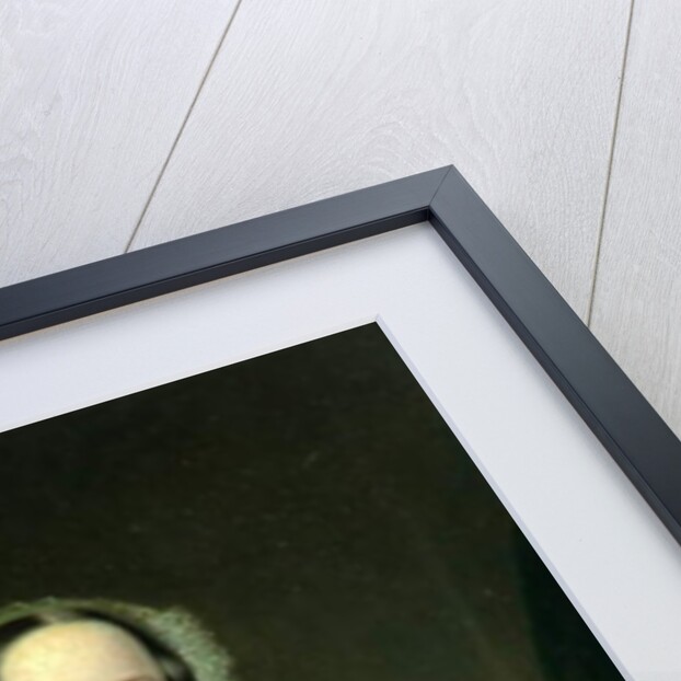 Mary Swallow by Unknown Artist