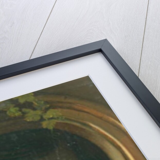 The Violin Player by Unknown Artist