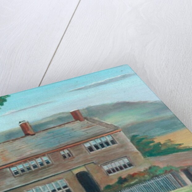 Water Scout by Unknown Artist