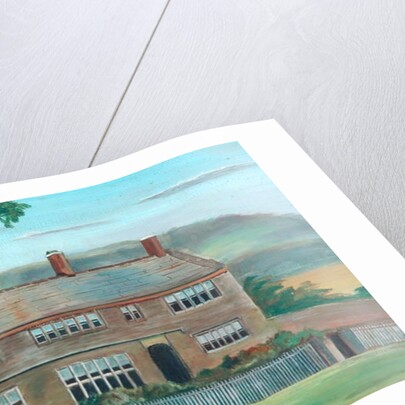 Water Scout by Unknown Artist