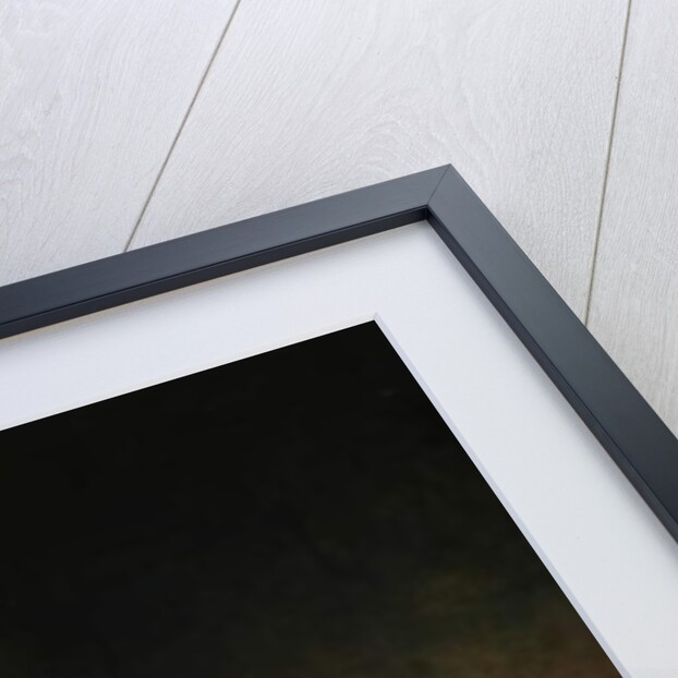 Thomas Fielden, c.1880 by Unknown Artist