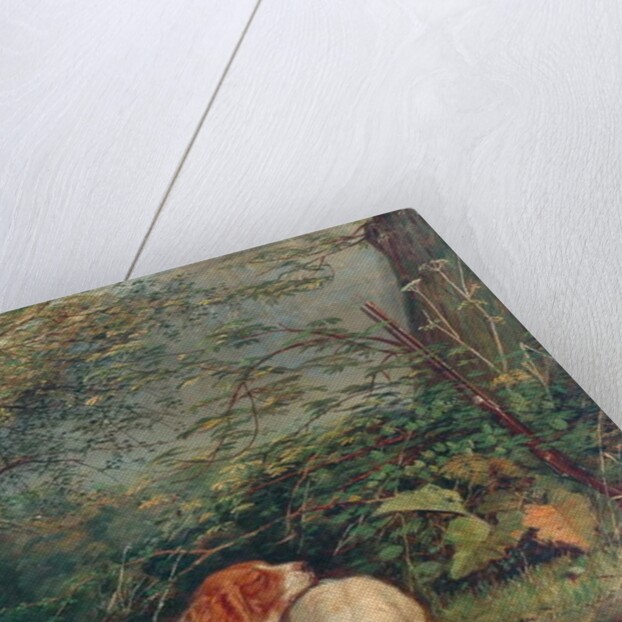 Dogs and Pheasant, 1840 by Richard Ansdell