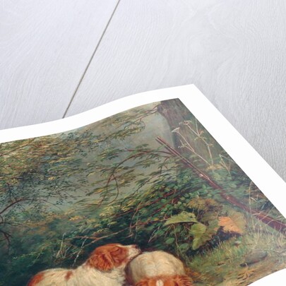 Dogs and Pheasant, 1840 by Richard Ansdell