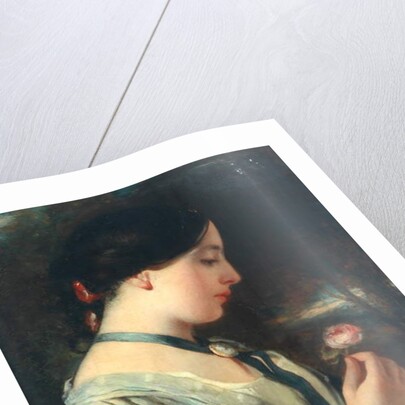 An English Rose by Charles Baxter