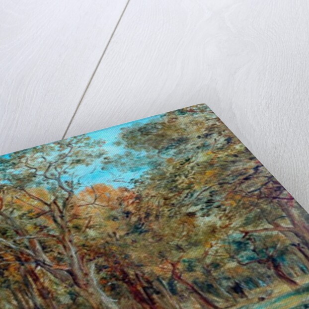 Sherwood Forest by Richard Sebastian Bond