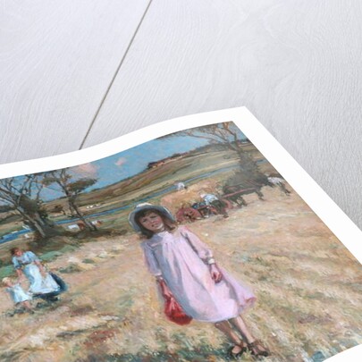 Across the Cornfield by Cecilia Carpmael