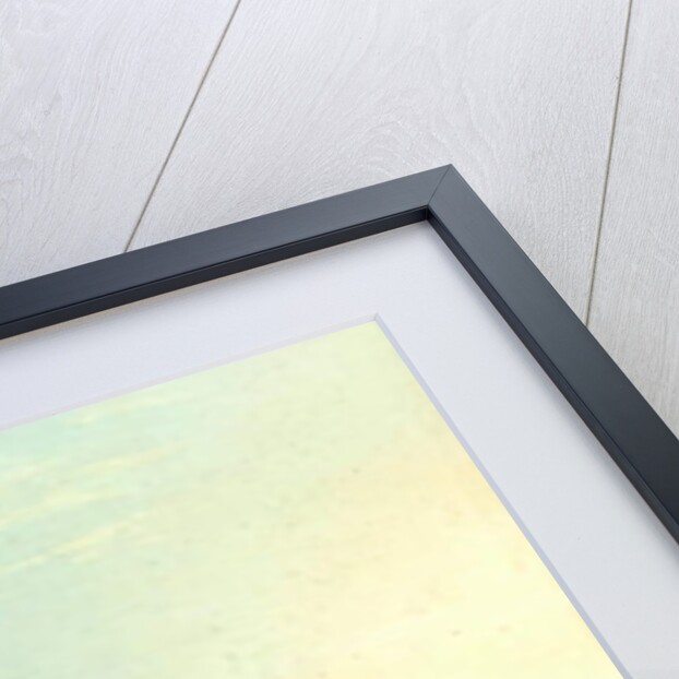 The Shrimpers by William Collins