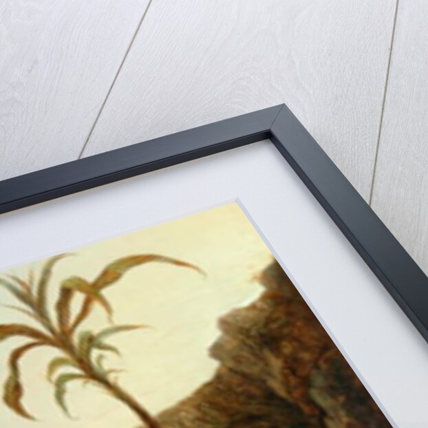 Scene In The Himalayas by William Daniell