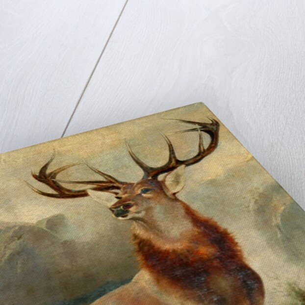 Stag At Bay by James Ford