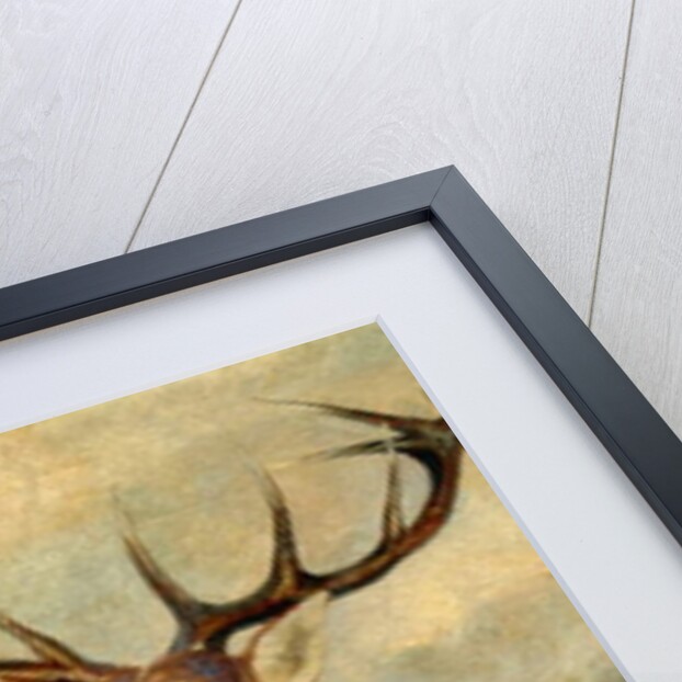 Stag At Bay by James Ford