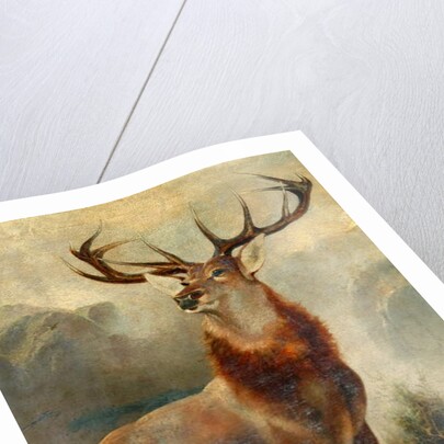 Stag At Bay by James Ford