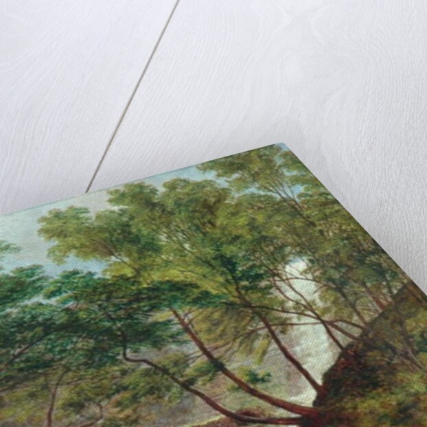 Cat Holes Dam Fall in Todmorden, 1870 by John Holland