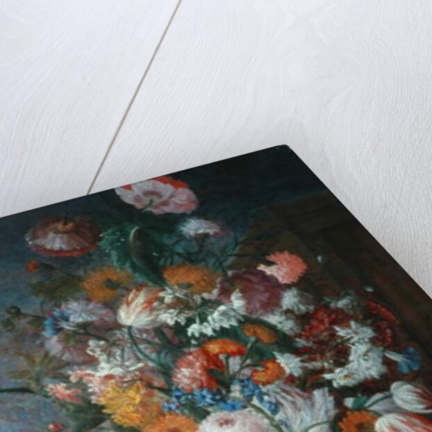 Flowers, Studies with Irises, 1682 by Jan van Huysum