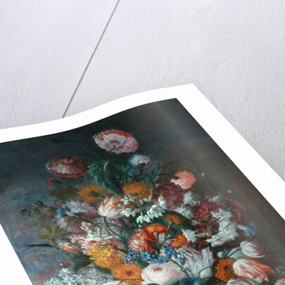 Flowers, Studies with Irises, 1682 by Jan van Huysum