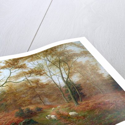 Bolton Woods, Yorkshire by William Mellor