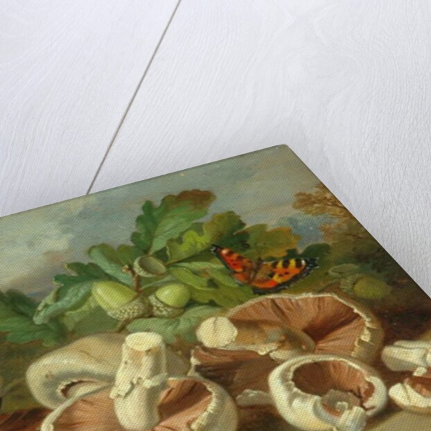 Still Life With Mushrooms Etc., 1859 by Unknown Artist