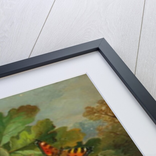 Still Life With Mushrooms Etc., 1859 by Unknown Artist