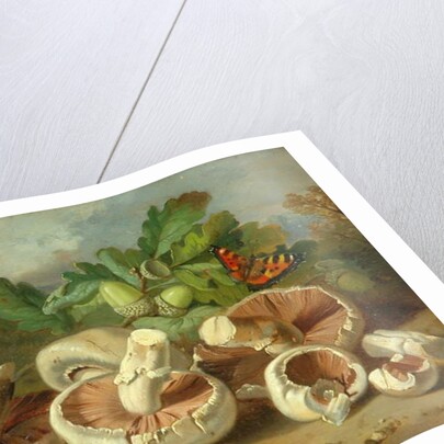 Still Life With Mushrooms Etc., 1859 by Unknown Artist