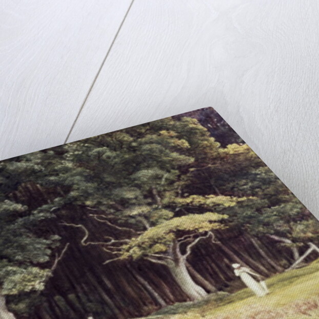 The Wooded Landscape, c.1900 by Edward John Poynter