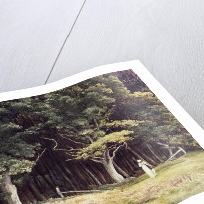 The Wooded Landscape, c.1900 by Edward John Poynter