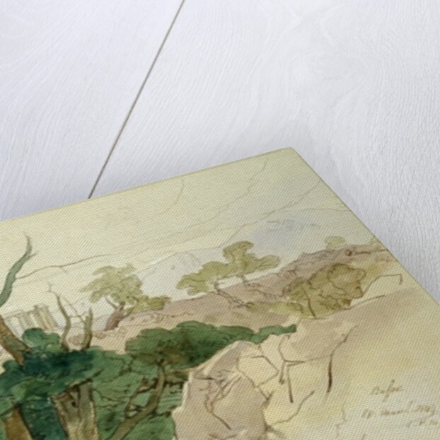 Temple at Bassae, 1849 by Edward Lear