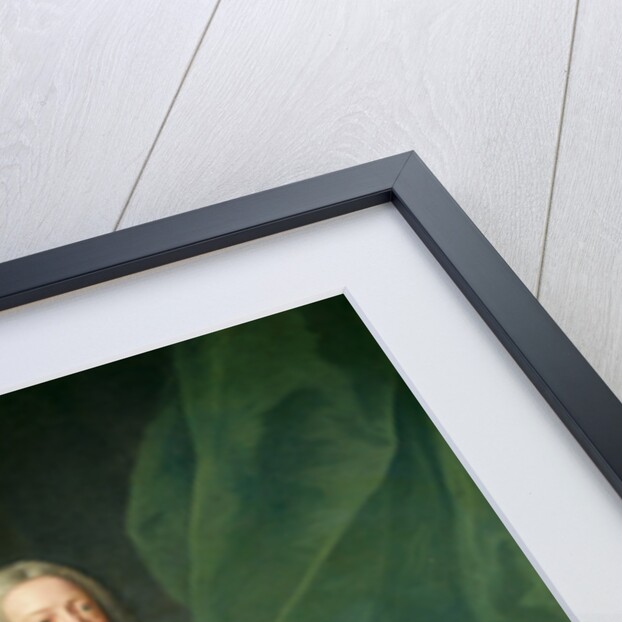 Portrait of King George II, 1758 by John Shackleton