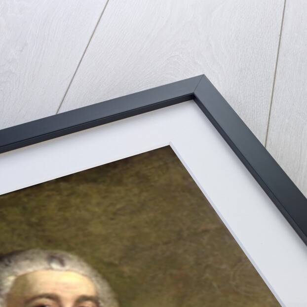 Portrait of Francis Fauquier, Lieutenant Governor of Virginia in the American Colonies, c.1757 by Benjamin Wilson
