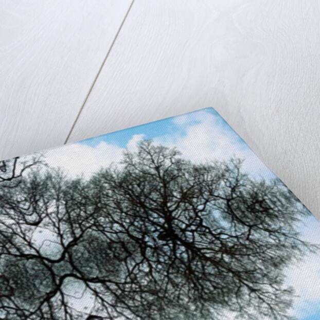 Unnatural 100 by Giovanni Cafagna