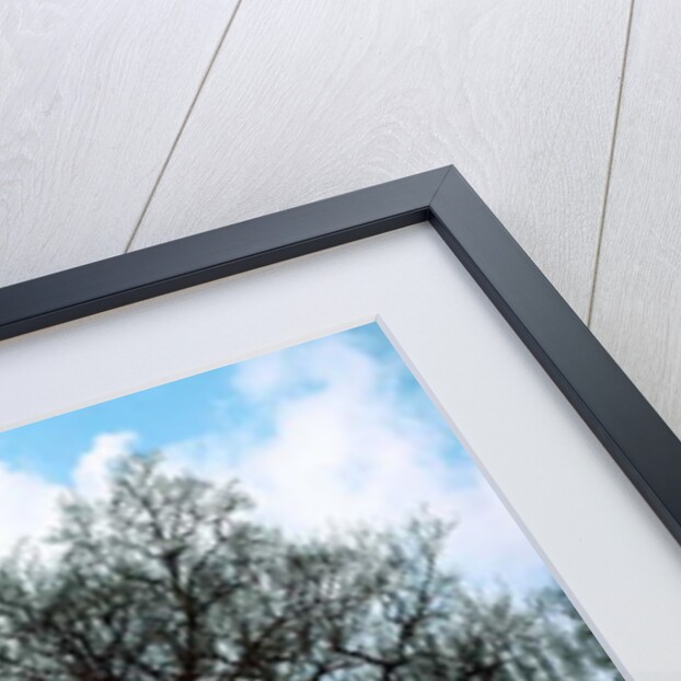 Unnatural 100 by Giovanni Cafagna