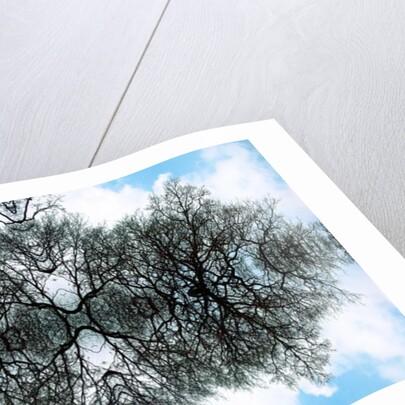 Unnatural 100 by Giovanni Cafagna