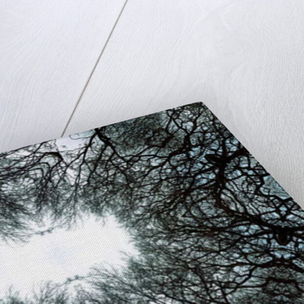 Unnatural 101 by Giovanni Cafagna