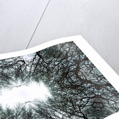 Unnatural 101 by Giovanni Cafagna