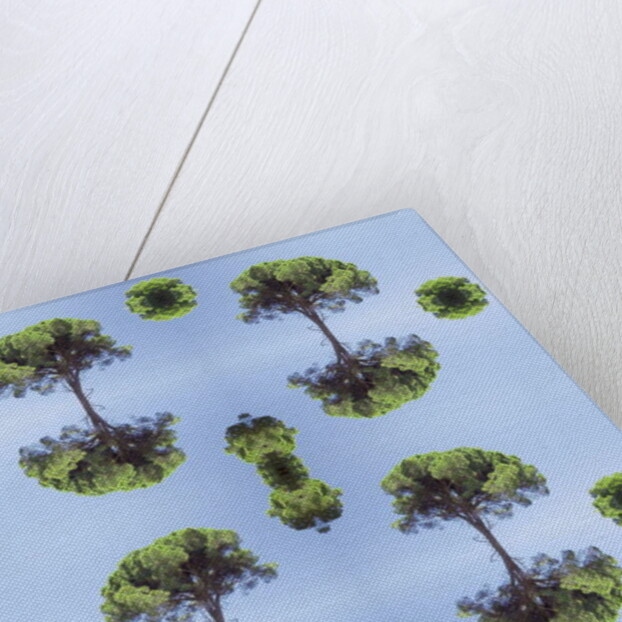 Unnatural 118 by Giovanni Cafagna