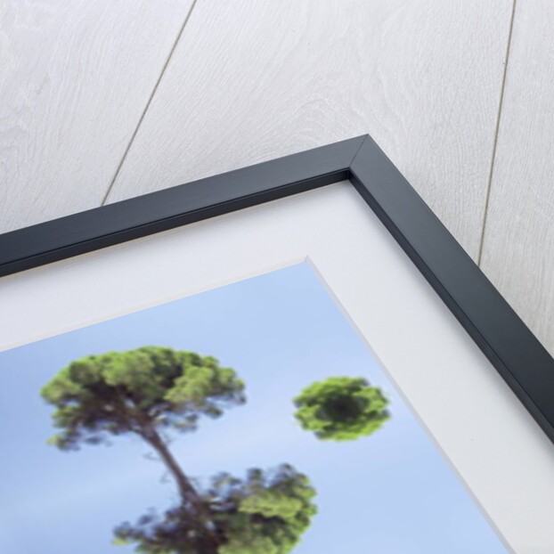 Unnatural 118 by Giovanni Cafagna