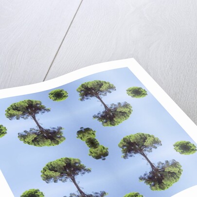 Unnatural 118 by Giovanni Cafagna