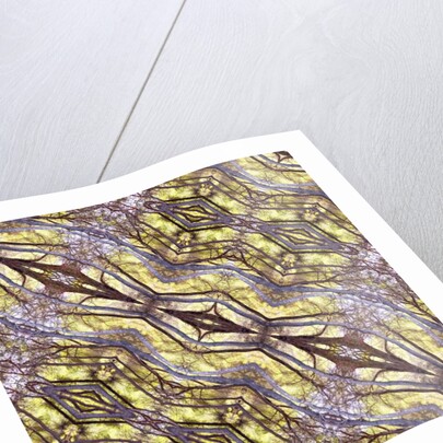 Unnatural 120.1 by Giovanni Cafagna