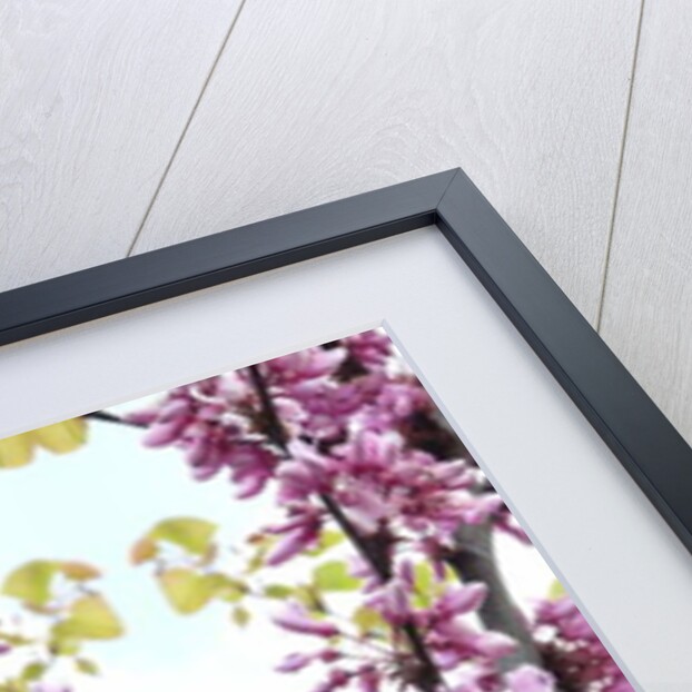 Unnatural 160.3 by Giovanni Cafagna