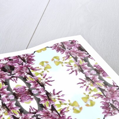 Unnatural 160.3 by Giovanni Cafagna