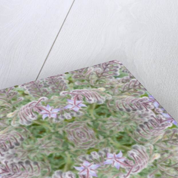 Unnatural 161 by Giovanni Cafagna